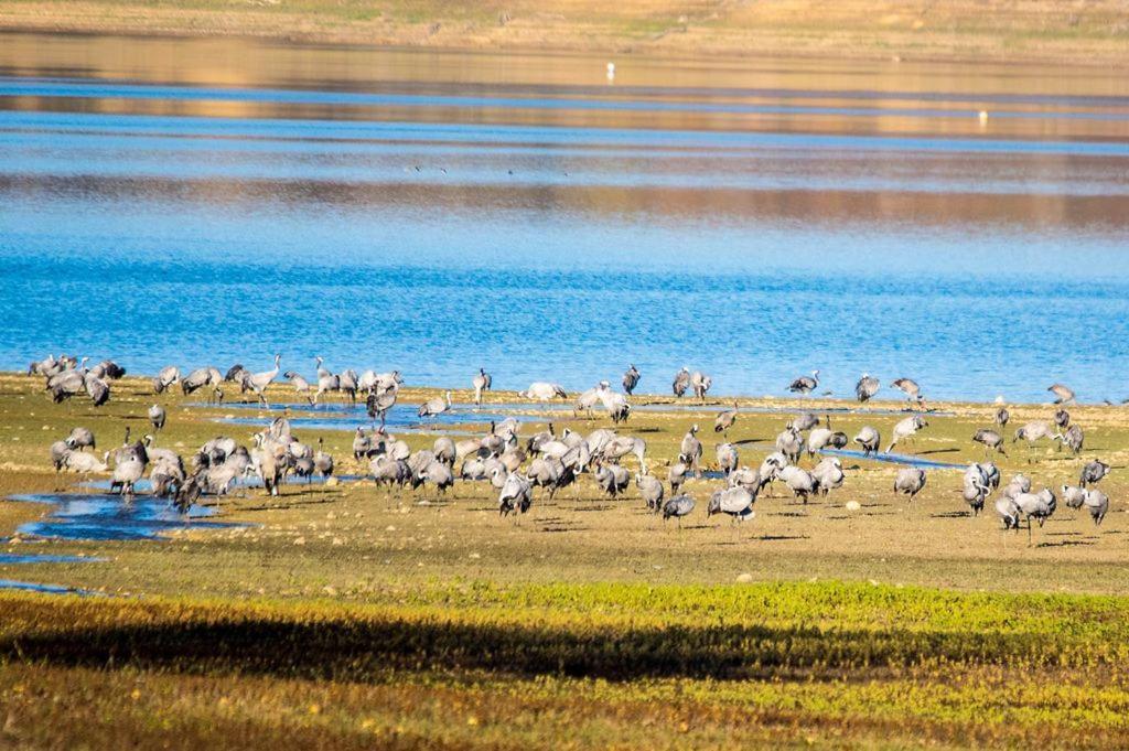 Вілла L'Oasis Des Pyrenees Campuzan Екстер'єр фото