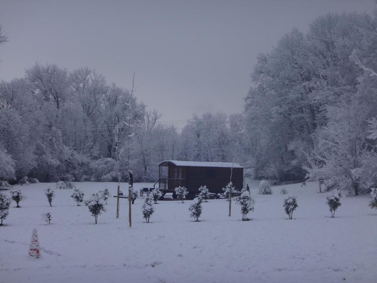 Вілла L'Oasis Des Pyrenees Campuzan Екстер'єр фото